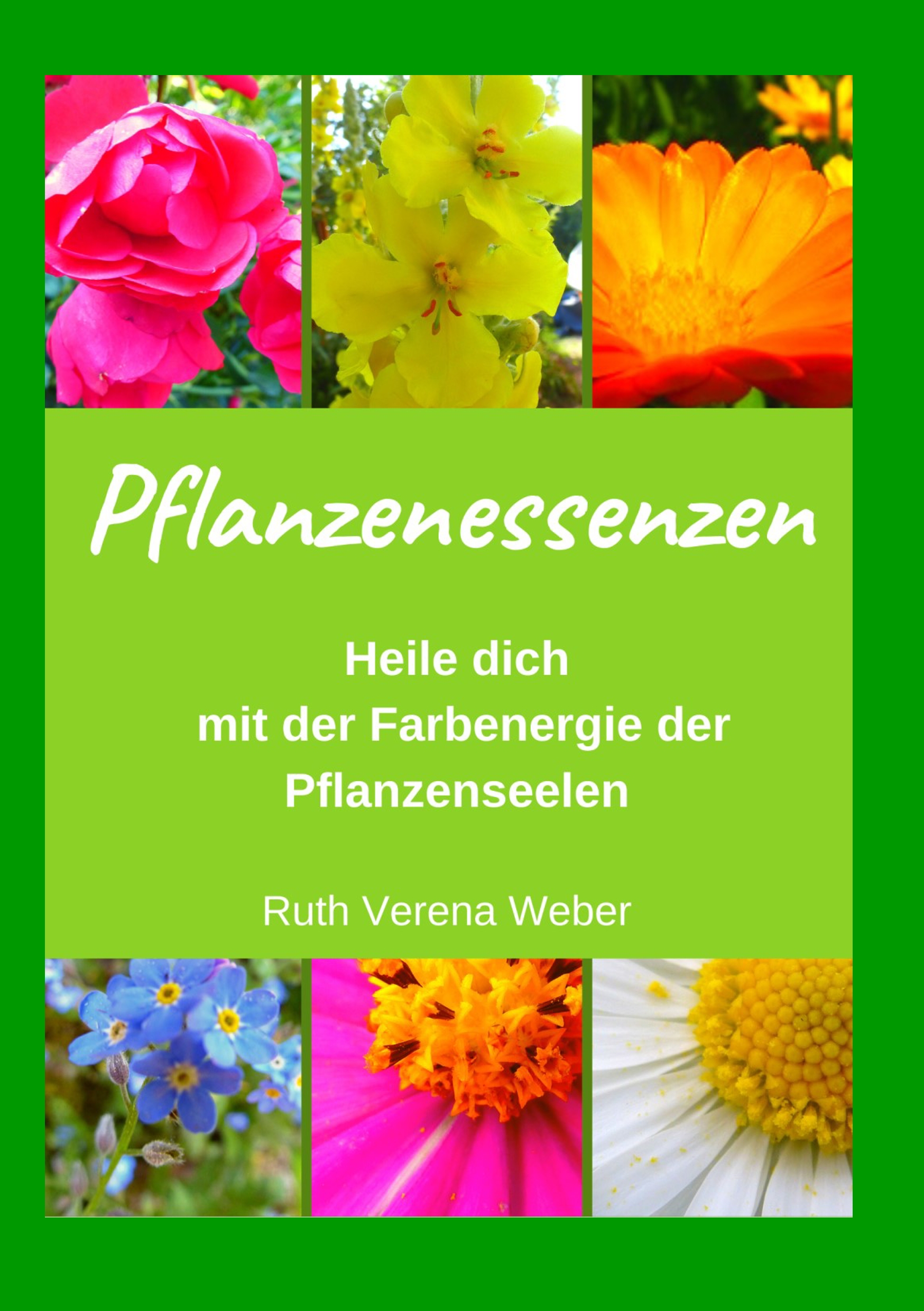 Pflanzenessenzen - Ruth Verena Weber - E-Book