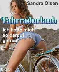 Fahrradurlaub - Sandra Olsen - E-Book