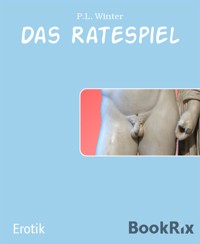 Das Ratespiel - P.L. Winter - E-Book