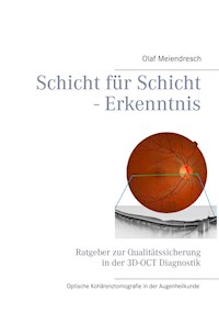 Schicht für Schicht - Erkenntnis - Olaf Meiendresch - E-Book