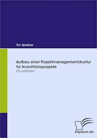 Aufbau einer Projektmanagementstruktur für Investitionsprojekte - Tim Sperber - E-Book