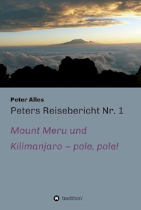 Peters Reisebericht Nr. 1 - Peter Alles - E-Book