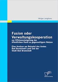 Fusion oder Verwaltungskooperation zur Effizienzsteigerung der öffentlichen Hand zu gegenseitigem Nutzen - Holger Junghans - E-Book