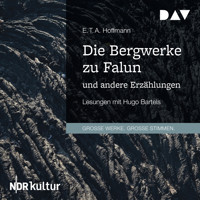 Die Bergwerke zu Falun und andere Erzählungen (Gekürzt) - E.T.A. Hoffmann - Hörbuch