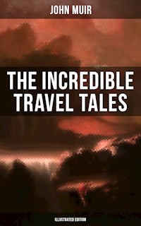 The Incredible Travel Tales of John Muir (Illustrated Edition) - John Muir - E-Book