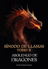 Sínodo de llamas - Fermín Romero - E-Book