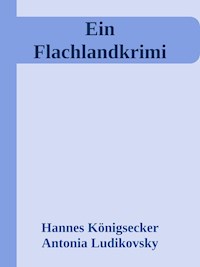 Ein Flachlandkrimi - Hannes Königsecker - E-Book