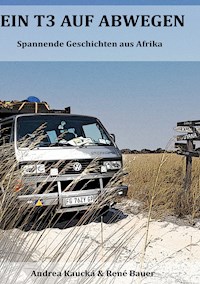 Ein T3 auf Abwegen - René Bauer - E-Book