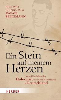 Ein Stein auf meinem Herzen - Shlomo Birnbaum - E-Book