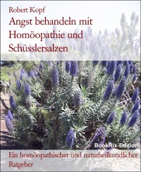 Angst behandeln mit Homöopathie und Schüsslersalzen - Robert Kopf - E-Book