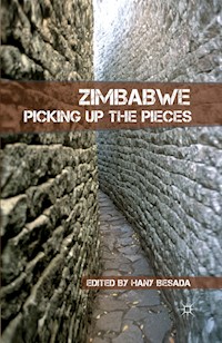 Zimbabwe - H. Besada - E-Book