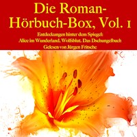 Die Roman-Hörbuch-Box, Vol. 1: Entdeckungen hinter dem Spiegel - Jack  London - Hörbuch