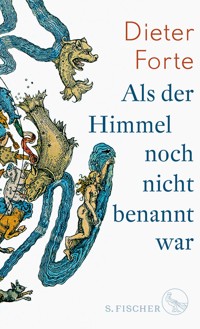 Als der Himmel noch nicht benannt war - Dieter Forte - E-Book