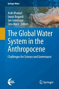 The Global Water System in the Anthropocene - - E-Book