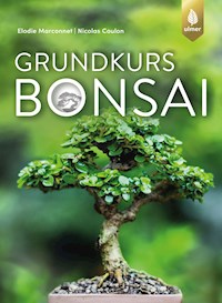 Grundkurs Bonsai - Elodie Marconnet - E-Book