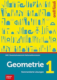 Geometrie 1 – Kommentierte Lösungen - Heinz Klemenz - E-Book