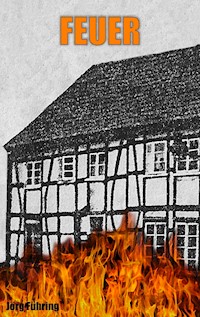 Feuer - Jörg Führing - E-Book