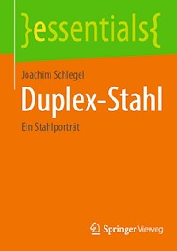Duplex-Stahl - Joachim Schlegel - E-Book