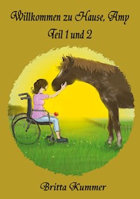 Willkommen zu Hause, Amy - Britta Kummer - E-Book