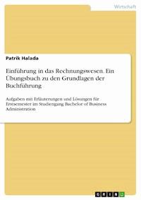 Einführung in das Rechnungswesen. Ein Übungsbuch zu den Grundlagen der Buchführung - Patrik Halada - E-Book