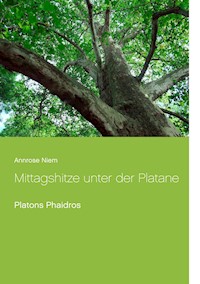 Mittagshitze unter der Platane - Annrose Niem - E-Book