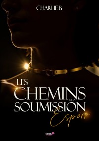 Les chemins de la soumission - Charlie B. - E-Book