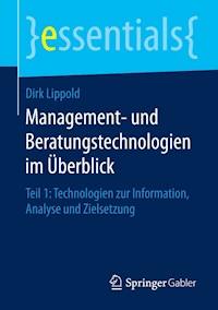 Management- und Beratungstechnologien im Überblick - Dirk Lippold - E-Book