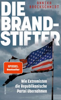 Die Brandstifter - Annika Brockschmidt - E-Book