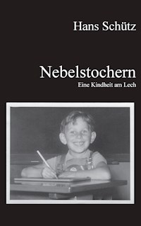 Nebelstochern - Eine Kindheit am Lech - Hans Schütz - E-Book