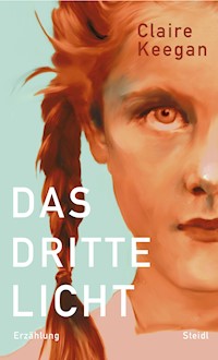 Das dritte Licht - Claire Keegan - E-Book