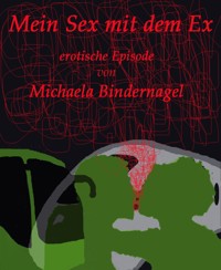 Mein Sex mit dem Ex - Michaela Bindernagel - E-Book