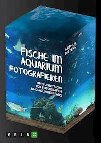 Fische im Aquarium fotografieren. Tipps und Tricks für Fotografen und Aquarien-Fans - Arthur Bitterl - E-Book