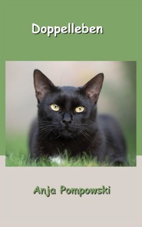 Doppelleben - Anja Pompowski - kostenlos E-Book