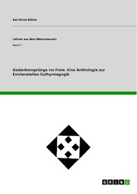 Gedankensprünge ins Freie. Eine Anthologie zur Existenziellen Euthymiagogik - Karl-Ernst Bühler - E-Book