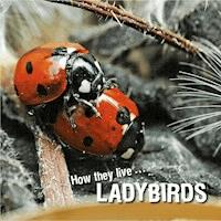 How they live... Ladybirds - David Withrington - E-Book
