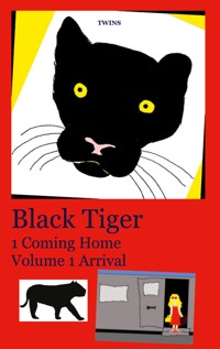 Black Tiger 1 Coming Home - Twins - E-Book