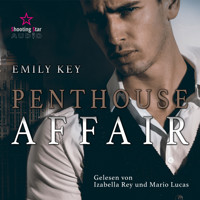 Penthouse Affair - New York Gentlemen, Band 1 (ungekürzt) - Emily Key - Hörbuch