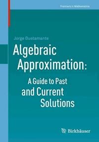 Algebraic Approximation: A Guide to Past and Current Solutions - Jorge Bustamante - E-Book