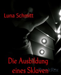 Die Ausbildung    eines Sklaven - Luna Schmitt - E-Book