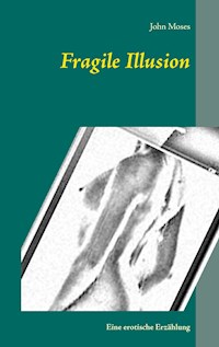 Fragile Illusion - John Moses - E-Book