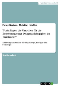 Worin liegen die Ursachen für die Entstehung einer Drogenabhängigkeit im Jugendalter? - Fanny Neuber - E-Book