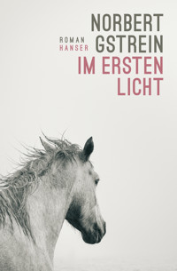 Im ersten Licht - Norbert Gstrein - E-Book