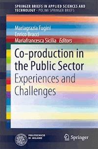 Co-production in the Public Sector - - E-Book
