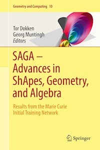SAGA – Advances in ShApes, Geometry, and Algebra - - E-Book