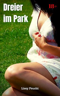 Dreier im Park - Lissy Feucht - E-Book