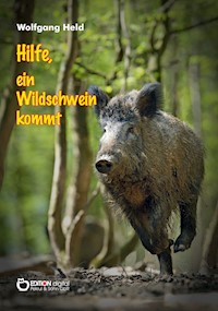 Hilfe, ein Wildschwein kommt - Wolfgang Held - E-Book