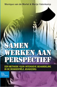 Samen werken aan perspectief - Monique van de Mortel - E-Book
