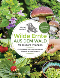 Wilde Ernte aus dem Wald - 40 essbare Pflanzen - einfache Bestimmung, kompaktes Wissen und leckere Rezepte - Michel Luchesi - E-Book