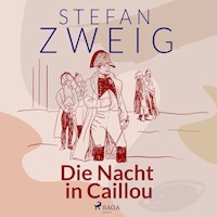 Die Nacht in Caillou - Zweig Stefan - Hörbuch