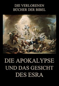 Die Apokalypse und das Gesicht des Esra - Paul Rießler - E-Book